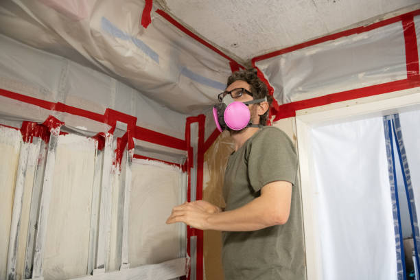 Waterbury, CT Mold Removal Company